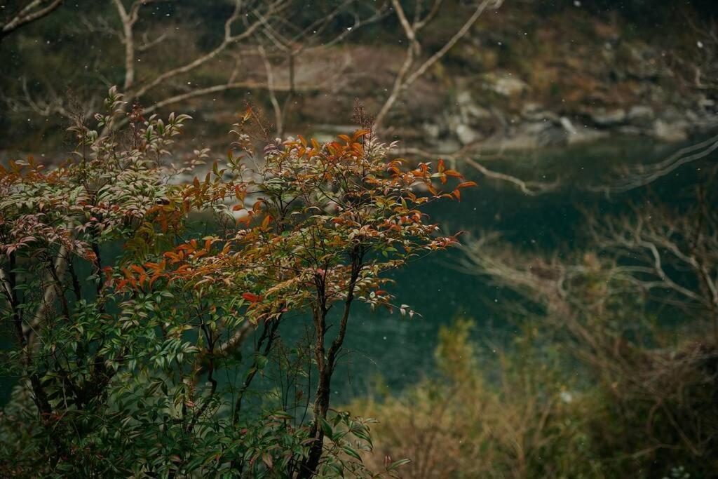 Вилла 目の前が吉野川・雨天でも屋外体験ができる絶景の一軒家 Otoyocho Экстерьер фото