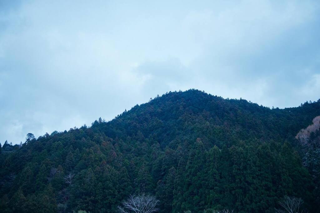 Вилла 目の前が吉野川・雨天でも屋外体験ができる絶景の一軒家 Otoyocho Экстерьер фото
